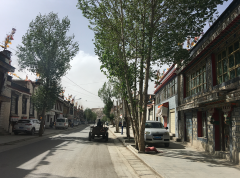 Une rue paisible à Gyantse