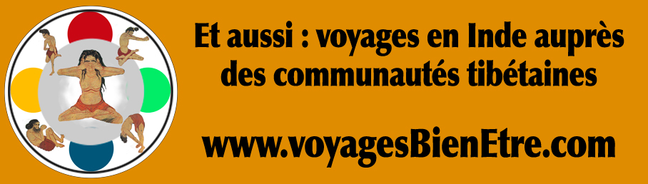 bandeau promo voyagesbienetre